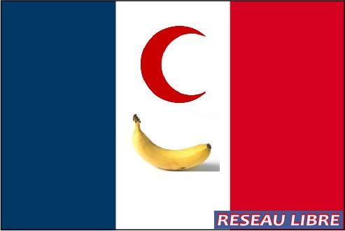 drapeau_france1-1.jpg